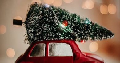 Gør dit hjem festligt med den perfekte juletræsfod
